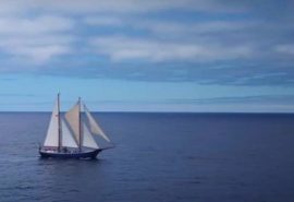 bateau